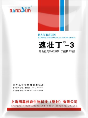 速壯丁3號